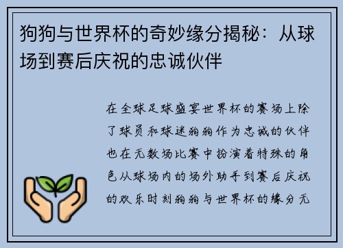 狗狗与世界杯的奇妙缘分揭秘：从球场到赛后庆祝的忠诚伙伴